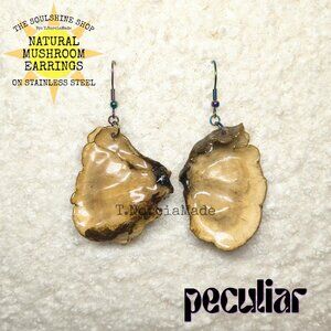 Peculiar Natural Mushroom Earrings